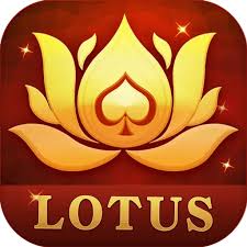 royally rummy app rs51 download